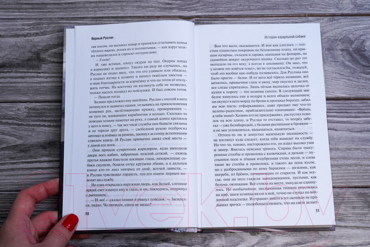 Художественная книга АСТ Верный Руслан. Три минуты молчания / 9785171562779 (Владимов Г.Н.) — фото 5