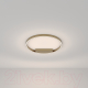 Миниатюра изображения товара Потолочный светильник Maytoni Rim MOD058CL-L35BSK