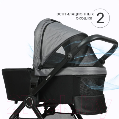 Детская универсальная коляска Tomix Walker 2 в 1 / BD101B (Grey)