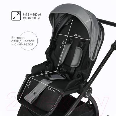 Детская универсальная коляска Tomix Walker 2 в 1 / BD101B (Grey)