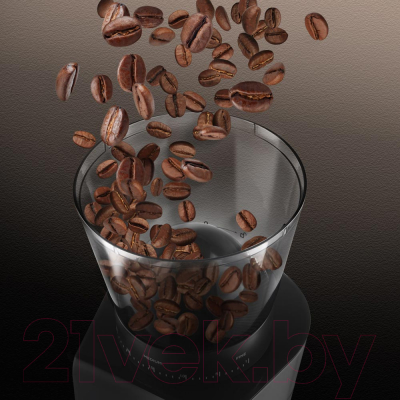 Кофемолка Redmond CG800 (черный/металлик)