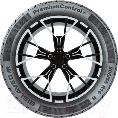 Летняя шина Gislaved PremiumControl 195/50R15 82H