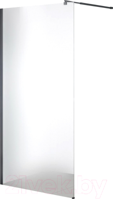 Душевая стенка Saniteco Walk-In SN-W6MB120 (120x200, матовое стекло, черный профиль)