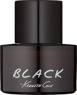 Изображение товара Туалетная вода Kenneth Cole Black (100мл)