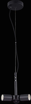 Потолочный светильник Maytoni Toronto MOD974-PLBase-03-Black