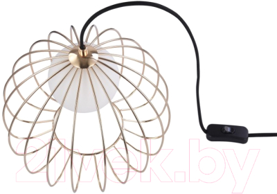 

Прикроватная лампа Maytoni, Polly MOD542TL-01G