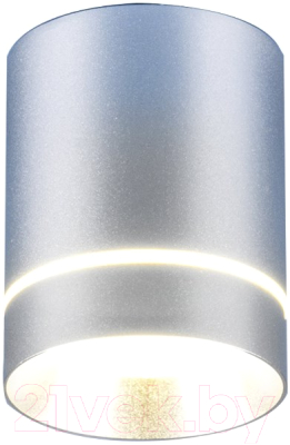 Точечный светильник Elektrostandard DLR021 9W 4200K (хром матовый)