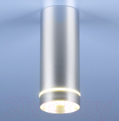 Точечный светильник Elektrostandard DLR022 12W 4200K (хром матовый)