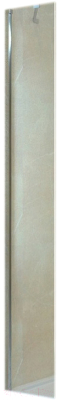 Душевая стенка RGW Z-09 / 06220903-11 (30x195, стекло прозрачное/хром)