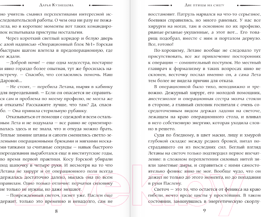 Художественная книга АСТ Две птицы на снегу / 9785171584641 (Кузнецова Д.А.) — фото 6