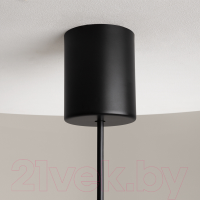 Потолочный светильник Maytoni The Sixth Sense Z020PL-L6B3K