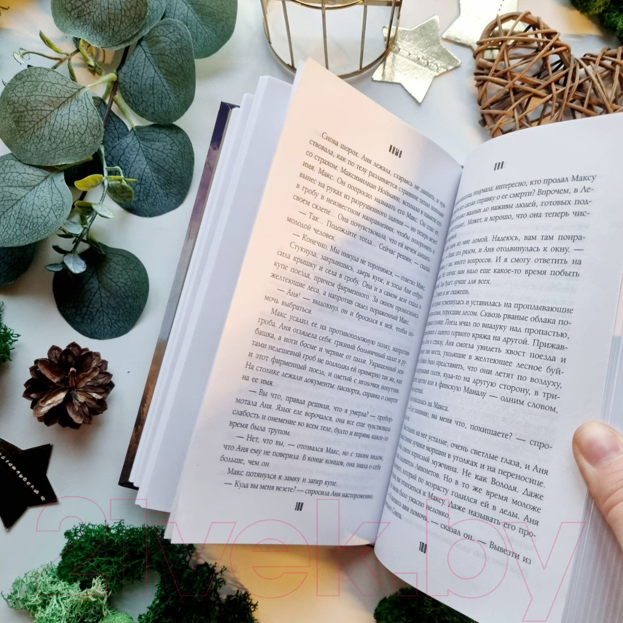 Художественная книга Черным-бело Иные / 9785041911782 (Яковлева А.Г.) — фото 2