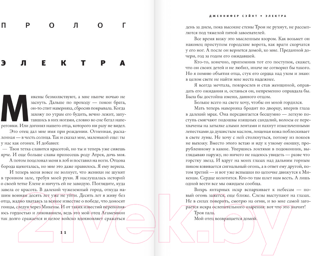 Художественная книга АСТ Электра / 9785171451332 (Сэйнт Д.) — фото 3