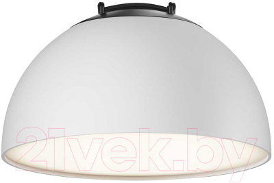 Потолочный светильник Maytoni Bowl TR126B-20W4K-W
