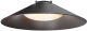 Потолочный светильник Maytoni Campana TR127B-12W3K-B - 