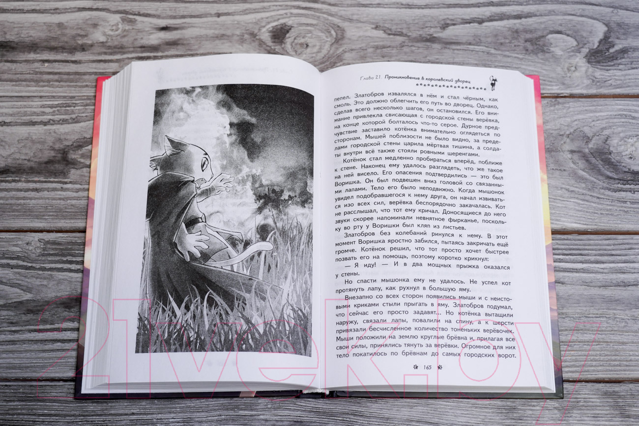 Художественная книга АСТ Король-кот / 9785171581275 (Хван Чуньхуа) — фото 3