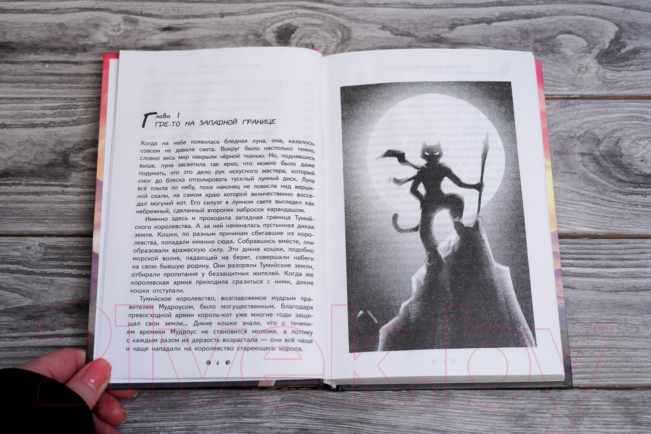 Художественная книга АСТ Король-кот / 9785171581275 (Хван Чуньхуа) — фото 4