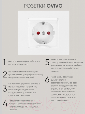 Розетка Ovivo 600-000301-243 (белый)