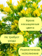 Миниатюра изображения товара Искусственное растение Merry Bear Home Decor Бонсай Мини / EGB3121004 (желтый)