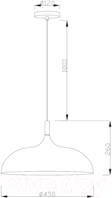 Потолочный светильник Moderli Hygo / V10654-1P