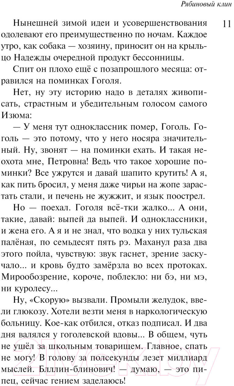 Художественная книга Эксмо Наполеонов обоз. Книга 1: Рябиновый клин / 9785041869182 (Рубина Д.) — фото 6