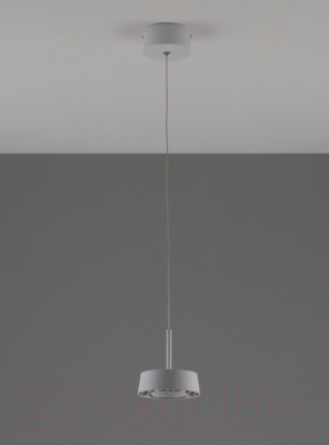 Потолочный светильник Moderli Luma / V10856-PL