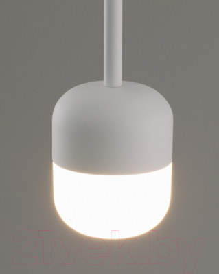 Потолочный светильник Moderli Drop / V10861-PL