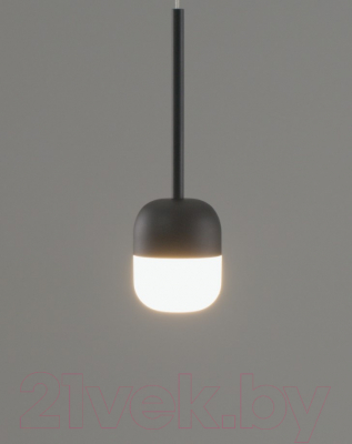 Потолочный светильник Moderli Drop / V10863-PL