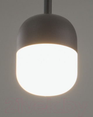 Потолочный светильник Moderli Drop / V10863-PL
