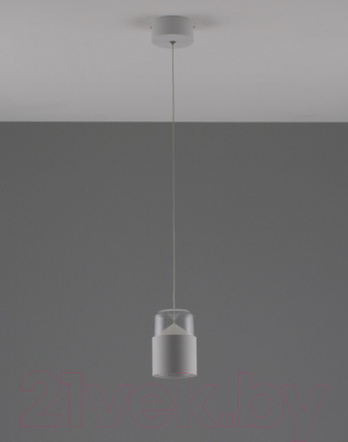 Потолочный светильник Moderli Rinna / V10865-PL