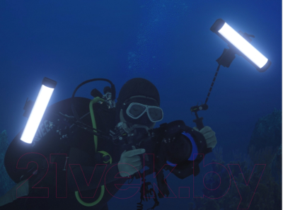 Осветитель студийный Godox Dive Light WT25D для подводной съемки / 30437
