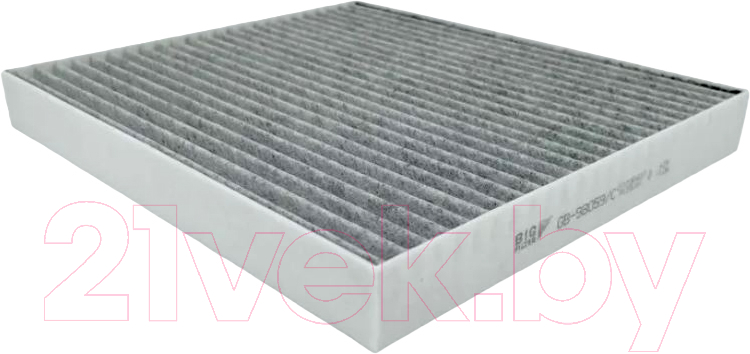 Салонный фильтр BIG Filter GB-98059/C
