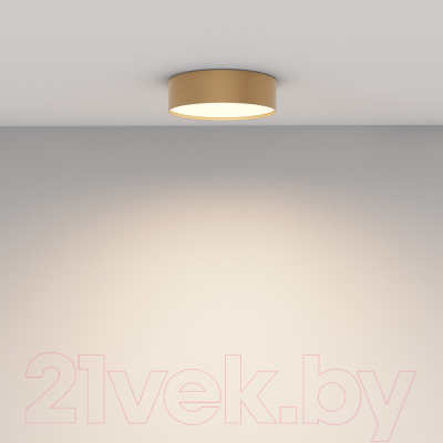 Потолочный светильник Maytoni Zon C032CL-24W4K-RD-MG