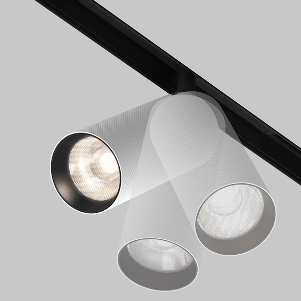 Трековый светильник Maytoni Artisan TR097-2-12W4K-M-BW