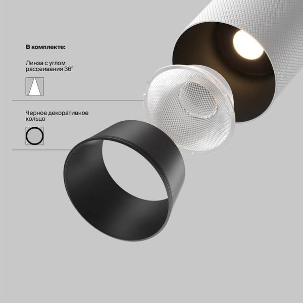 Трековый светильник Maytoni Artisan TR097-2-12W4K-M-BW