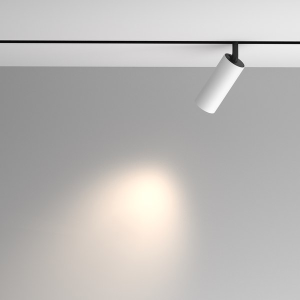 Трековый светильник Maytoni Artisan TR097-2-12W4K-M-BW