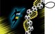 Бювар Erich Krause Sport DNA / 60992 - 