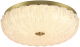 Миниатюра изображения товара Потолочный светильник Sonex Tesoro 7719/48L