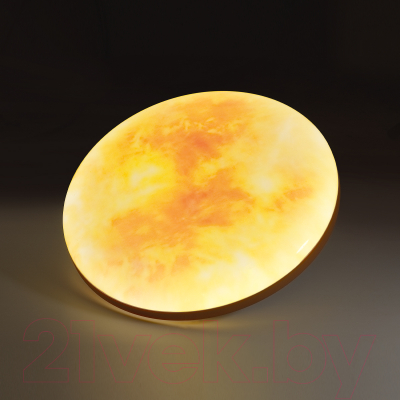 Потолочный светильник Sonex Sun 7726/EL