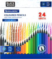 Набор цветных карандашей Brauberg 181858 (24цв) - 