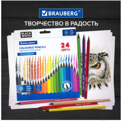 Набор цветных карандашей Brauberg 181858 (24цв)