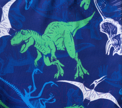 Плавки детские Kaftan Динозавры / 4131148 (р.110-116, синий)
