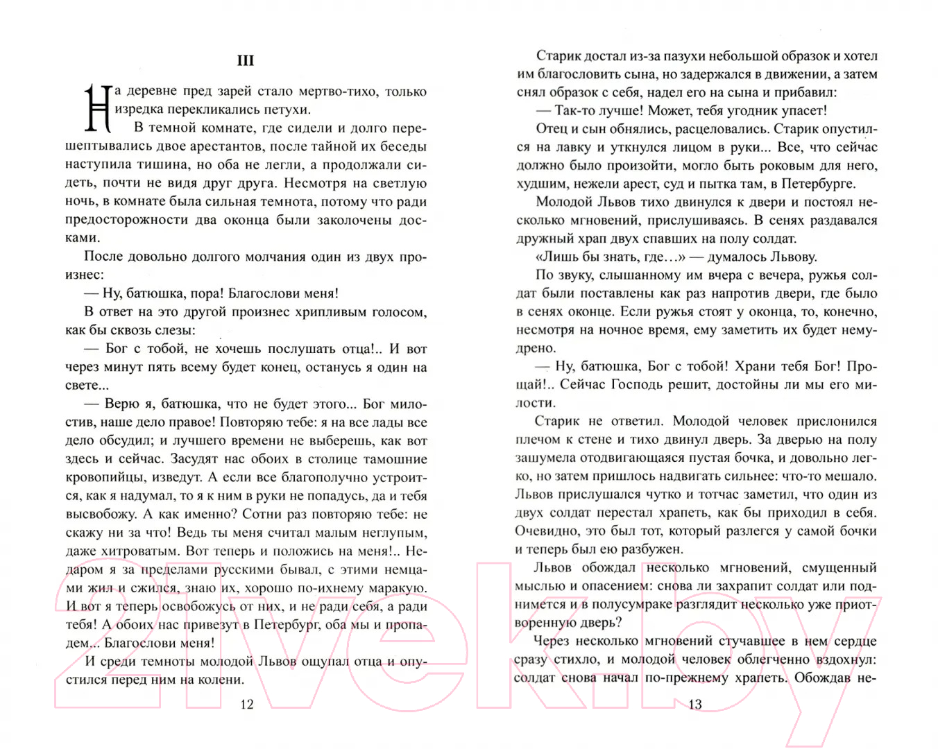Художественная книга Вече Названец. Камер-юнгфера / 9785448437212 (Салиас Е.) — фото 2