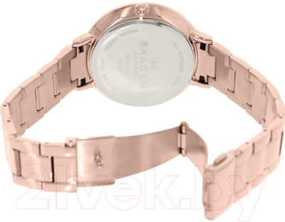 Часы наручные женские Skagen SKW2227