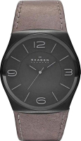 Часы наручные женские Skagen SKW6041 - 