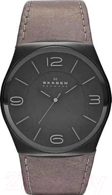 Часы наручные женские Skagen SKW6041