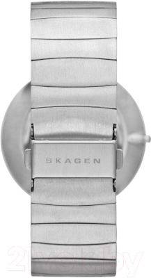 Часы наручные мужские Skagen SKW6109