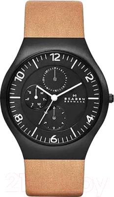 Часы наручные мужские Skagen SKW6114