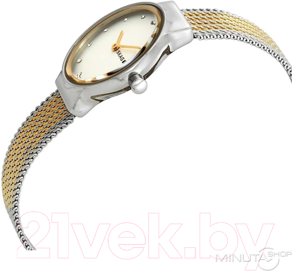 Часы наручные женские Anne Klein AK/3992TPGR