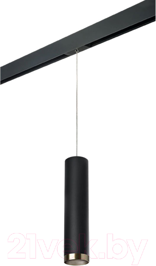 Трековый светильник Lightstar Rullo PRORP497431